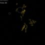 Asteroid Worms