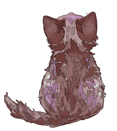 Where Are Meow Friends