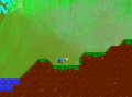 A Frog's Task of Life