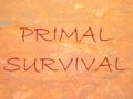 Primal Survival