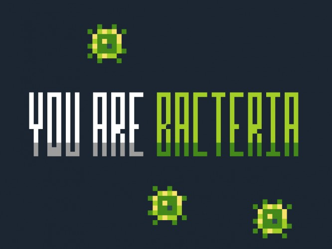You Are Bactera