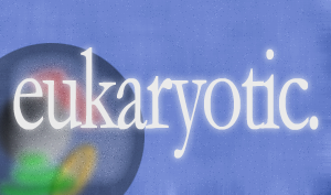 eukaryotic.