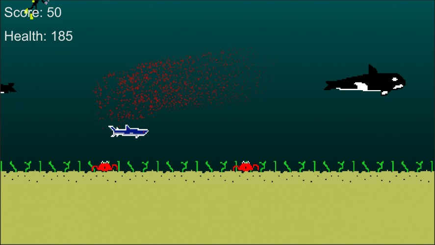 Shark Feast