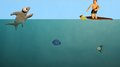 Shark, Shark, Shark!