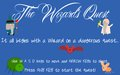 The Wizard's Quest