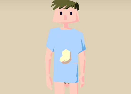 The Minimalism Quest