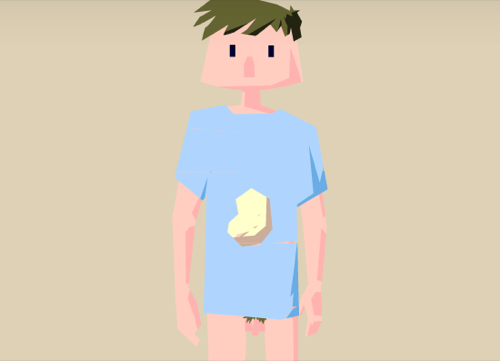 The Minimalism Quest