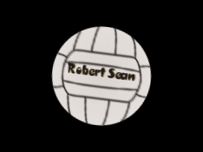 Project Robert Sean