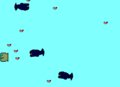 Fishy Fishy