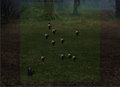 Black Annis