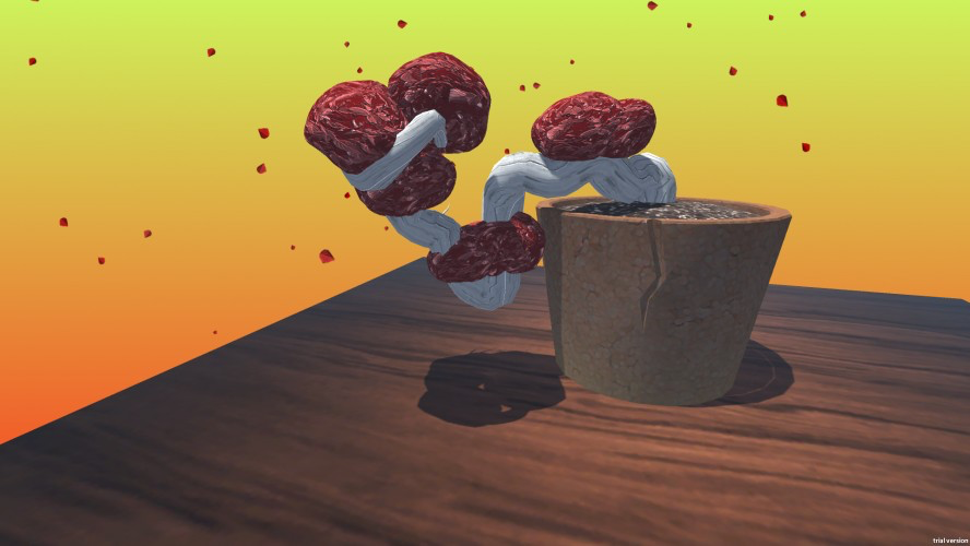 Bonsai Growth Simulator