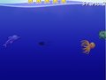 Dolphin Dash