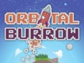 Orbital Burrow