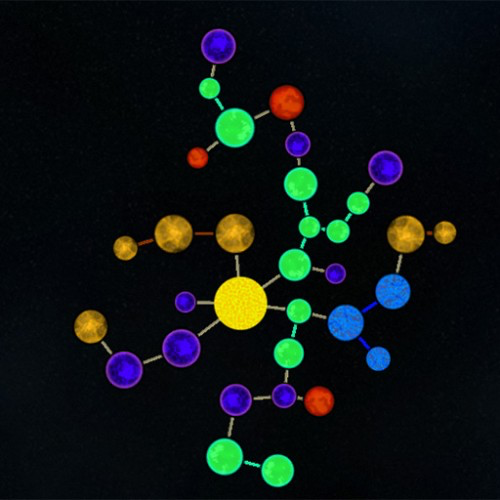 Literally Connected Worlds
