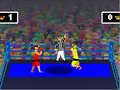Spelunker Boxing