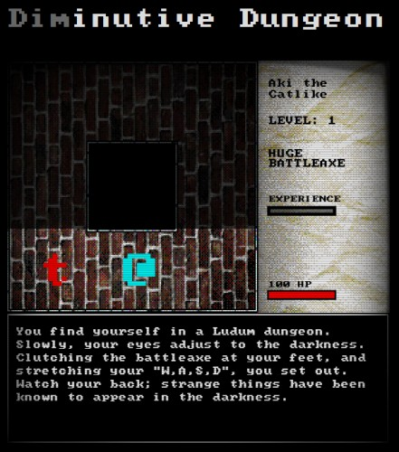 Diminutive Dungeon