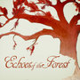 Echoes of the Forest