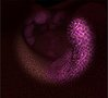 Enderscope's Game