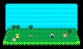 Tall Grass