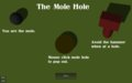 The Mole Hole