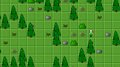 Open Forest