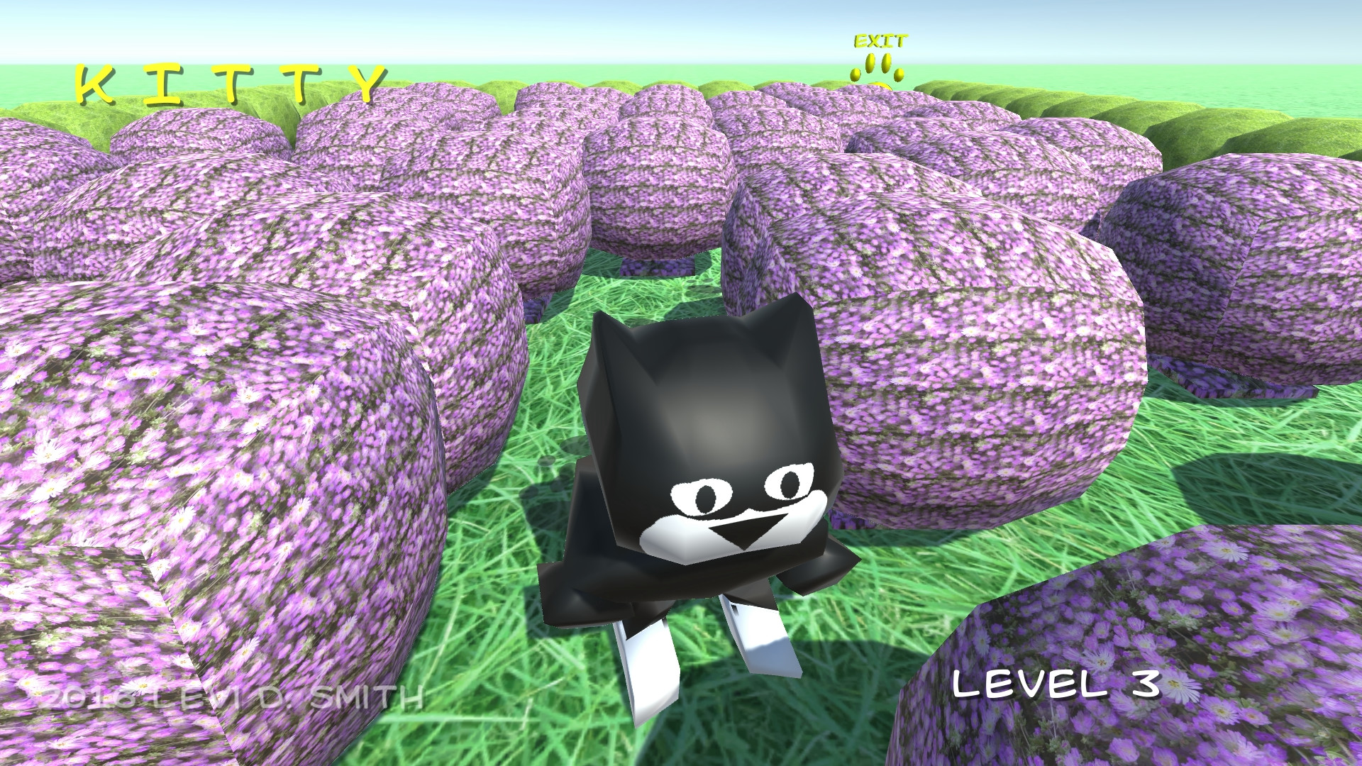 Kitty's Adventure