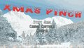Xmas Pinch