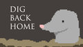 Dig Back Home