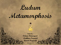 Ludum Metamorphosis
