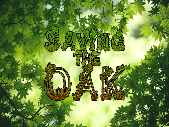 Save the Oak