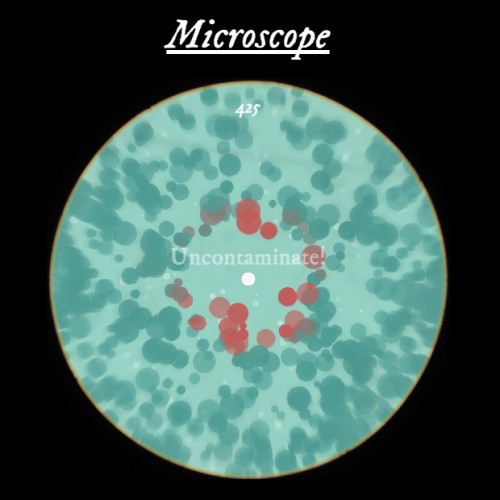 Microscope