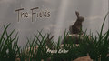 The Fields