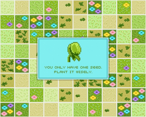 Seed