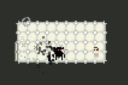 Asylum