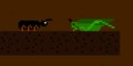 Ant Rush
