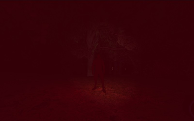 The Creep (You only get one Night)