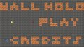 Wall-holo
