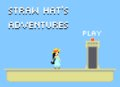 Straw Hat's Adventure