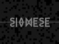 siamese