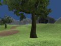 Meander