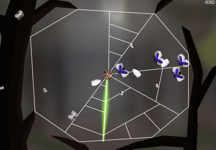Spider's web