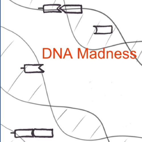 DNA Madness