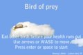 Bird of Prey
