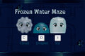 Frozen Water Maze