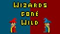 Wizards Gone Wild