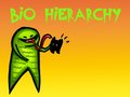 Bio Hierarchy
