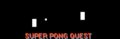 Super Pong Quest