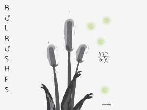 Bullrushes
