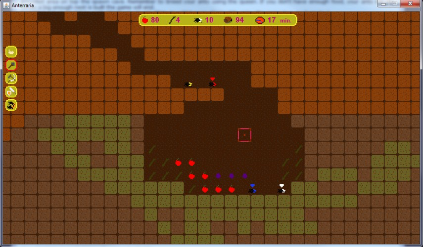 Anterraria