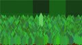 Super Spruce